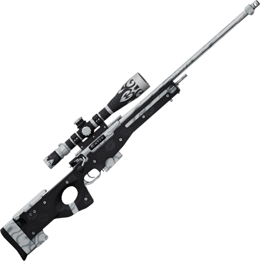 For Him — Sniper Duels AWP value